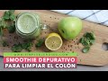 SMOOTHIE PARA LIMPIAR EL COLÓN | Cómo hacer un batido depurativo | Alto en fibra