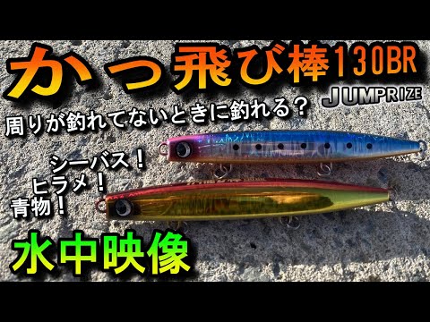 ブローウィン140j 　かっ飛び棒　ぶっ飛び君　サーフシーバス青物ルアーセット 楽天市場】BlueBlue ブルーブルー Blooowin ブローウィン140J