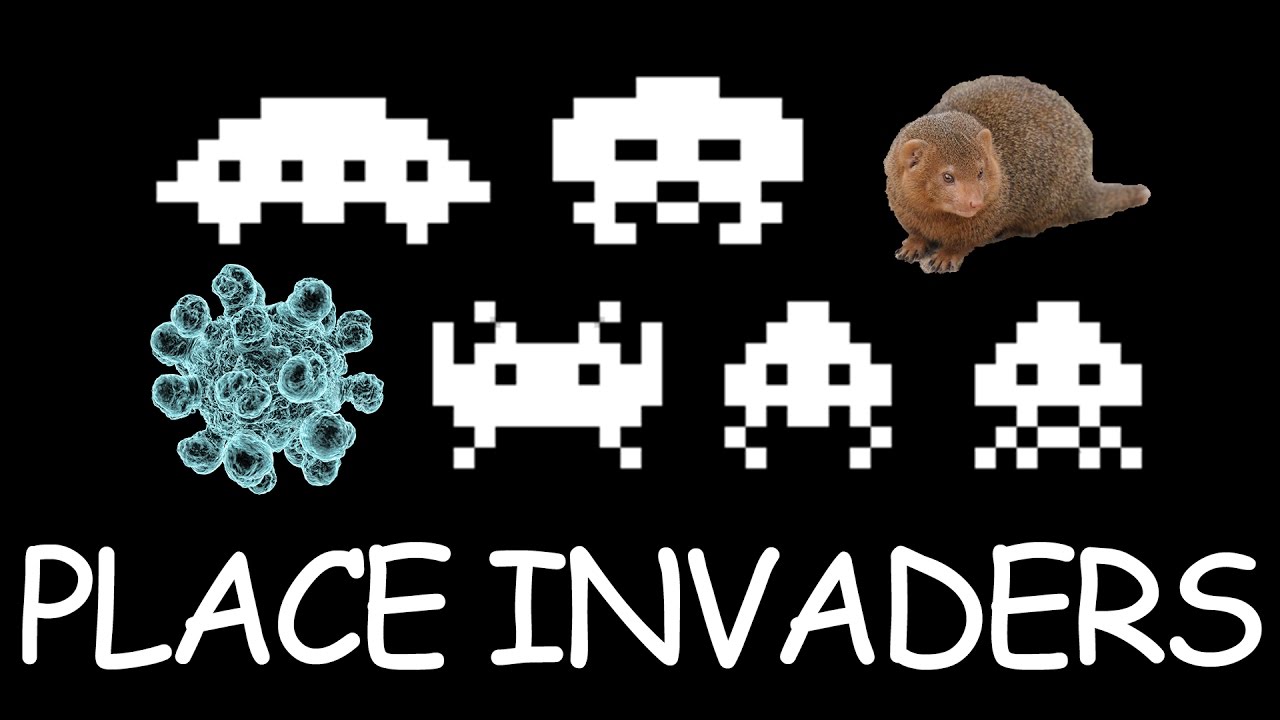 Place Invaders - YouTube