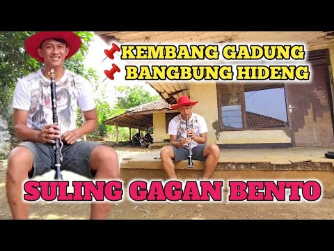 KEMBANG GADUNG ~ TEROMPET UTEP BUNGSU