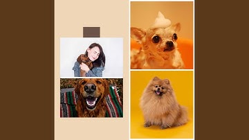 Pulsating Ambience for Cute Puppy