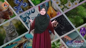 Gohar Science 4|Unit 1|Lec 3|Plants  Behaviour|Plant Classification