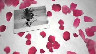 I Love You By Baqari