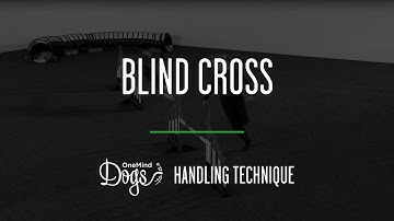 Blind Cross Agility Handling Technique