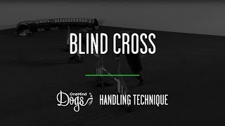 Blind Cross Agility Handling Technique