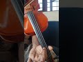 fairy tale carnatic note #carnaticmusic #violin #musiceducation #musiceducation #music #carnatic