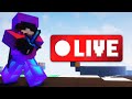 Playing with viewers! | Minecraft 1.8.9