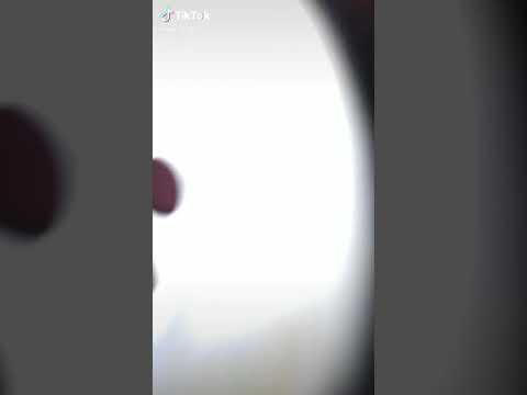 شيل البيض حط في الزيت