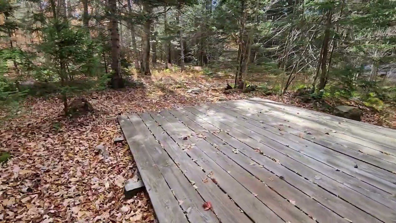 Little Rock Pond Shelter in VT