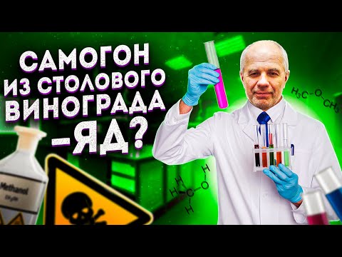 Метанол? Фурфурол? Яд? Самогон из столовых сортов винограда!!!