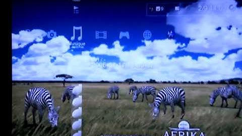 theme africa PS3 firmware 3.00 (dynamic theme)