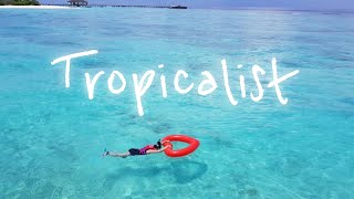 [Playlist] 한 때 트로피컬 하우스에 미쳤었지 🏝 (tropical house playlist)