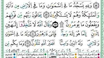 سورة النحل  / حمزة الجزائري