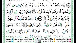 سورة النحل  / حمزة الجزائري