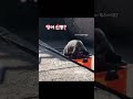 영어 신동. 모든생활영어 #길냥이 #猫 #cat #babycomedy