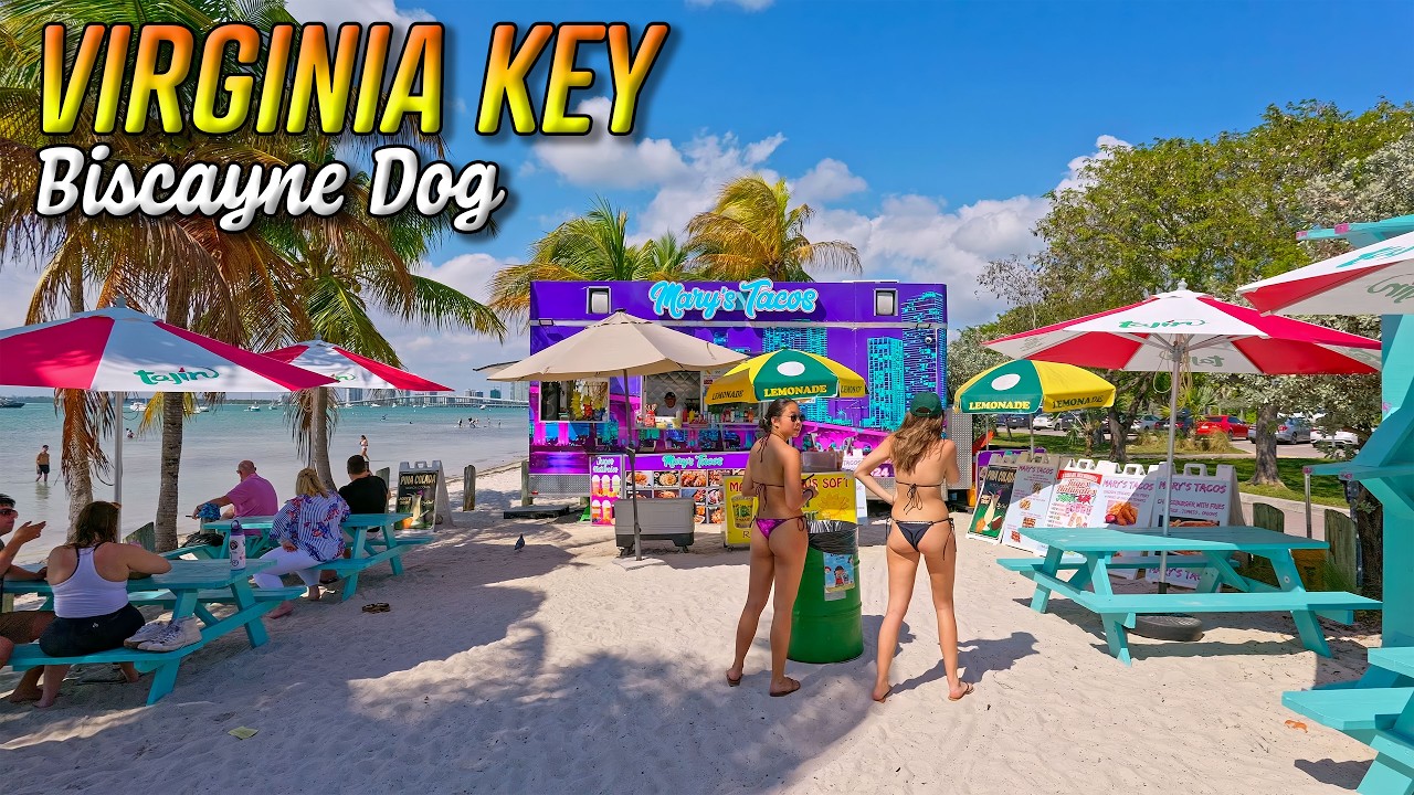Walking Biscayne Dog Beach Miami Florida Tour