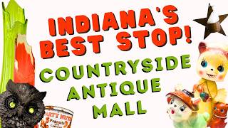 YOU WON'T LEAVE EMPTY-HANDED! Shop With Me at Countryside Antique Mall