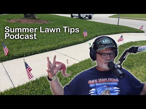 Summer Lawn Questions