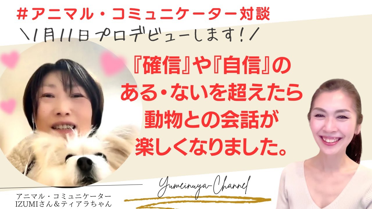 ＃アニマルコミュニケーション講座 【『確信』や『自信』のある・ないを超えたら、、、動物さんとの会話が楽しくなりました🥰】