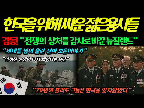 뉴질랜드가 한국에 보낸 감동의 편지..70년이 지나도 잊지 않은 이유ㅣ감동사연ㅣ해외감동사연ㅣ한국감동사연ㅣ해외반응ㅣ감동이야기ㅣ한국사랑ㅣ
