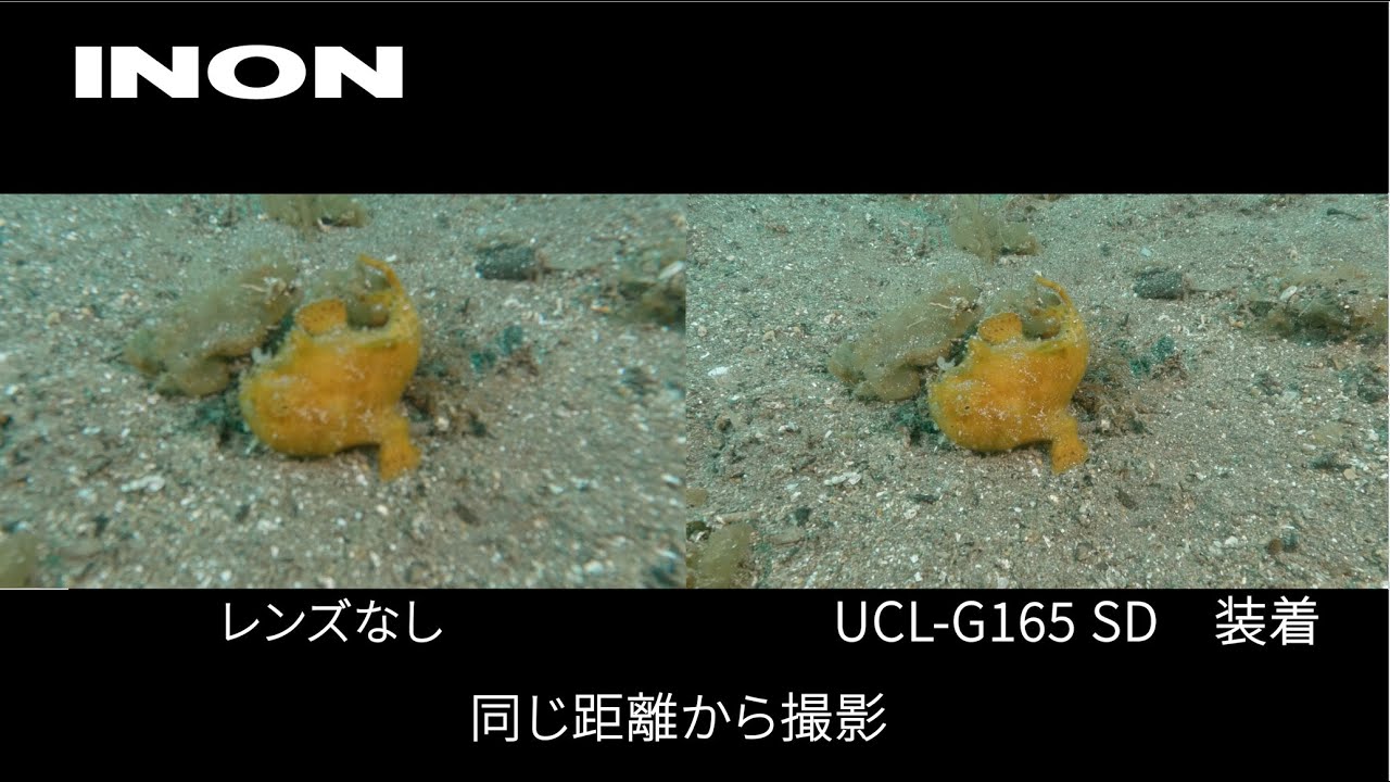 定番人気2023 INON 水中ワイドクローズアップレンズ UCL-G165 SD ソフマップPayPayモール店 通販 PayPayモール 