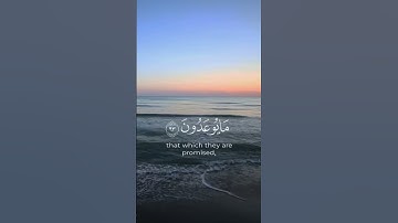 سوره المؤمنون || اكتب شي تؤجر عليه فالتعليقات 🤍 #قرآن