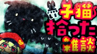 最近配信できなかったのは子猫を拾ったから！猫ちゃんトーク聴いてくれぇ！【ポテポ/新人Vtuber】