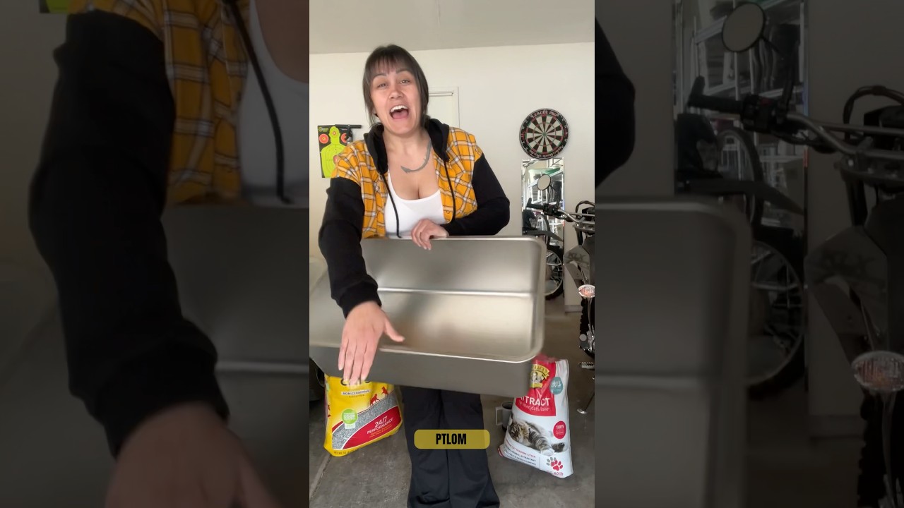 Stainless Steel Litter Box from PTLOM