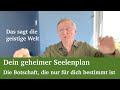 Dein geheimer Seelenplan  - Die Botschaft der geistigen Welt, die nur für dich bestimmt ist Mp3 Song