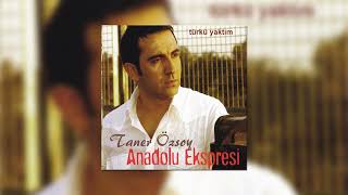 Anadolu Ekspresi, Taner Özsoy - Eridim Yandım