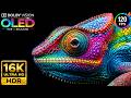 Beyond Imagination | Real Dolby Vision HDR TEST | 16K ULTRA HD Nature Video (8K/4K Video TV)