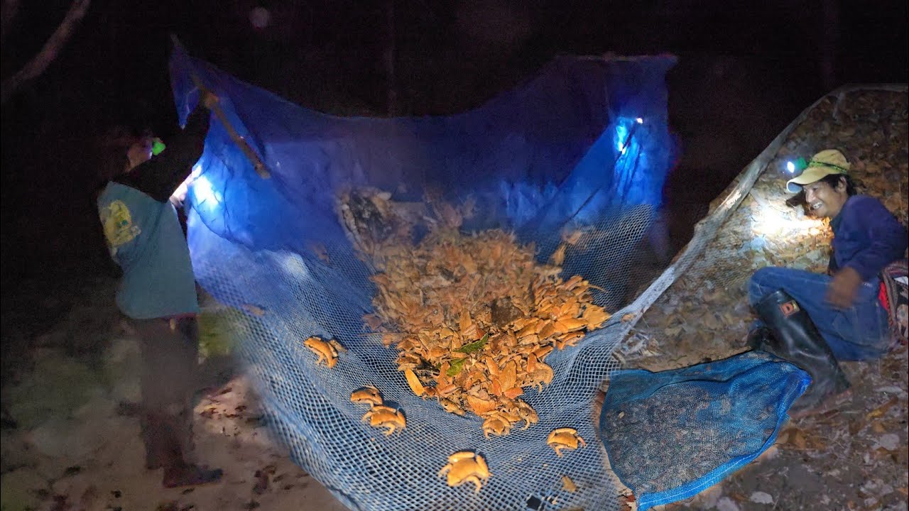 ครั้งแรก!!หาช้อนเขียดน้อยกลางคืนด้วยวิธีโบราณ มีเทคนิคเด็ดๆ สำหรับความหมานวันนี้!!23ก.พ2569