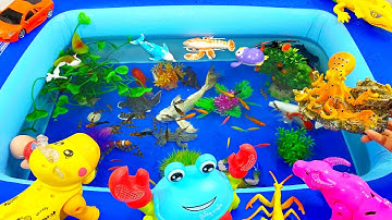 Động vật dễ thương,cá heo,cá mập,cá sấu,cá đuối,cá nhỏ.chim cánh cụt,sứa,thằn lằn,chim,vẹt,bò,trâu