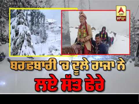 Snowfall `ਚ ਦੂਲੇ ਰਾਜਾ ਨੇ ਲਏ ਸੱਤ ਫੇਰੇ | ABP Sanjha |