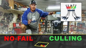 Fail-Safe Bass Culling System for Tournament Fisherman