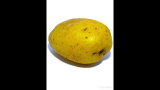 Rotting Potato Timelapse #Shorts