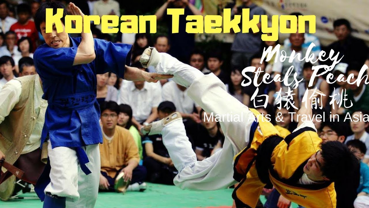 taekyon martial art