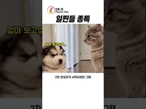 당신이 엄마라면?