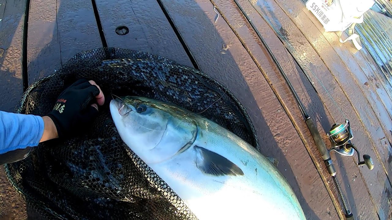 変化千万のタナ攻略で釣るフィッシングレインボー5月10日