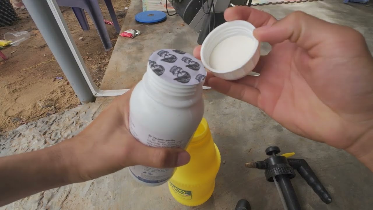 Phun Phân Bón Lá Cho Vườn Cây Ăn Trái Nhỏ Nhà Mình