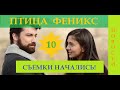 Изумрудный Феникс / Zumruduanka 10 СЕРИЯ русская озвучка/НОВОСТИ