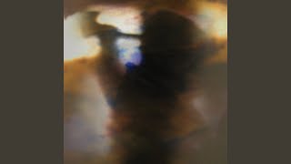 Video thumbnail of "Animal Collective - I Think I Can"
