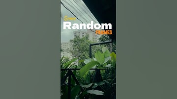 Some Random Frames     #cinematic #cinematography #cinema #photography #film #filmmaking #filmmaker