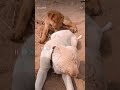 dog 🐕🐕#drawing  #viral shorts video