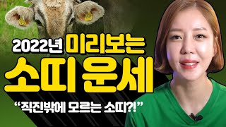 ★2022년 미리보는 소띠운세★삼재띠였지만?일산점집 김포점집 서라궁