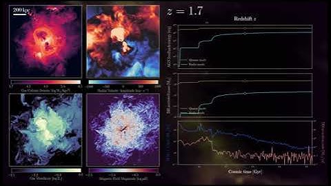 AGN Feedback in IllustrisTNG-50 Simulation