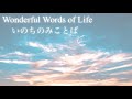 【讃美歌501】いのちのみことばWonderful Words of Life