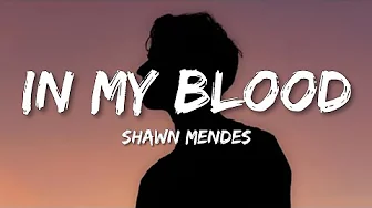In My Blood - Shawn Mendes (Lyrics)