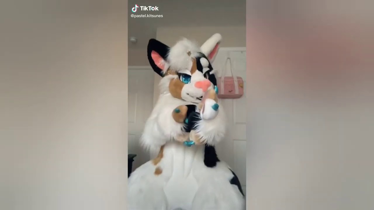 Furry Tik Tok 44 YouTube