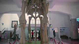 Swi Edutrip To Museum Ragb Bandung